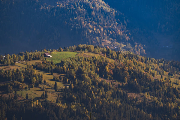 Comuna Horea din Munții Apuseni Cota 1600