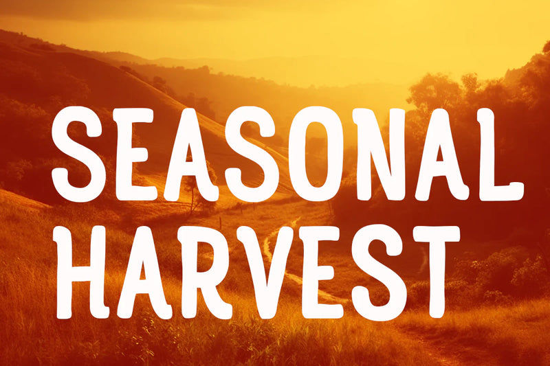 Seasonal Harvest